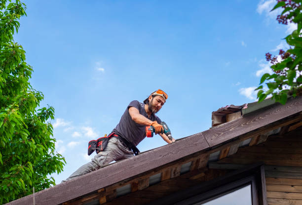 Best Roof Maintenance and Cleaning  in Cathcart, WA